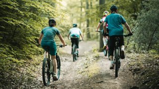 Im Pfälzer Wald direkt neben dem Campus in Kaiserslautern kannst du dich auspowern oder entspannen.